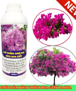 Thuốc kích hoa giấy của sinh học Đức Bình có nhiều ưu điểm nổi bật gấp 3 lần so với các sản phẩm thông thường