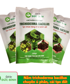 Trichoderma Bacillus là loại chế phẩm sinh học chứa 2 nhóm vi sinh vật, nhóm trichoderma và bacillus sp