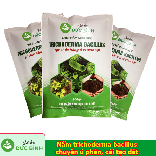 Trichoderma Bacillus là loại chế phẩm sinh học chứa 2 nhóm vi sinh vật, nhóm trichoderma và bacillus sp