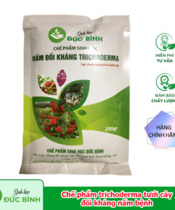 Chế phẩm trichoderma tưới cây đối kháng nấm bệnh
