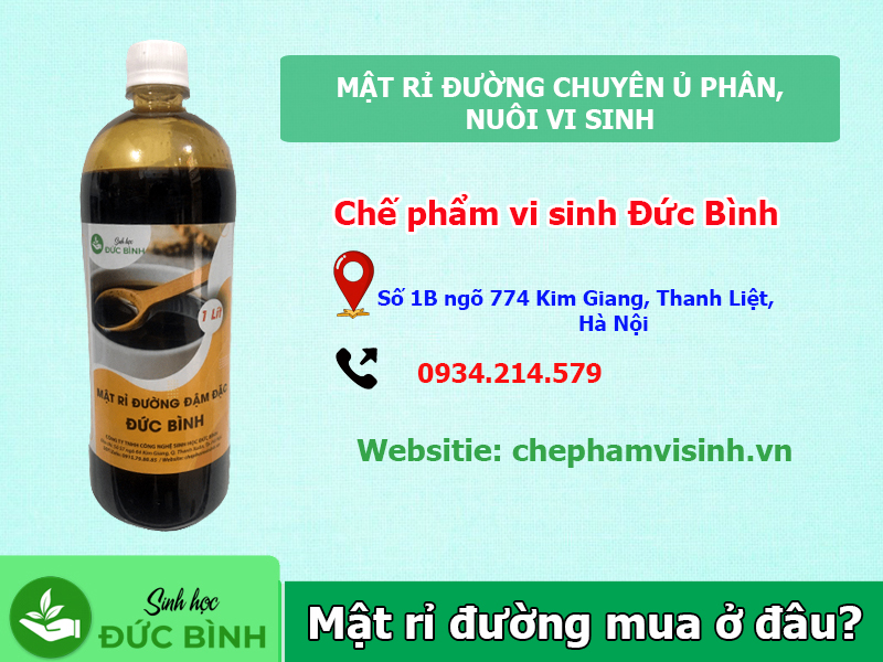 Mật rỉ đường mua ở đâu giá rẻ, chất lượng? Địa chỉ bán mật rỉ đường tại Hà Nội
