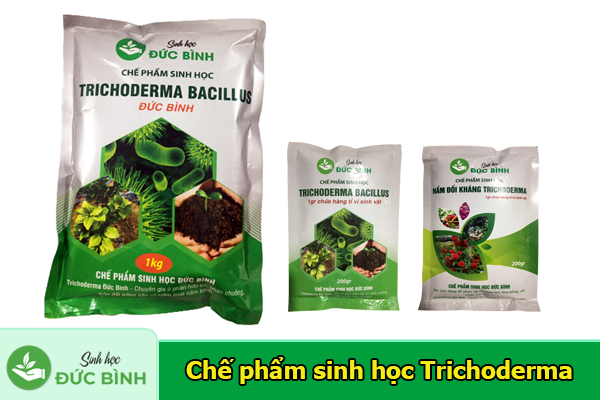 Chế phẩm vi sinh Trichoderma Đức Bình đang được bà con ưa chuộng, tin dùng