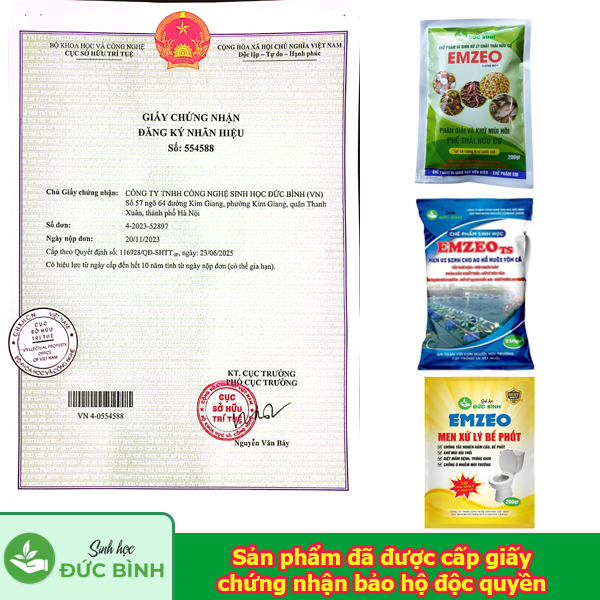 Sản phẩm của công ty đã được nhà nước cấp giấy chứng nhận bảo hộ bản quyền