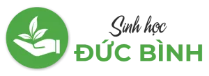 Chế phẩm vi sinh Đức Bình